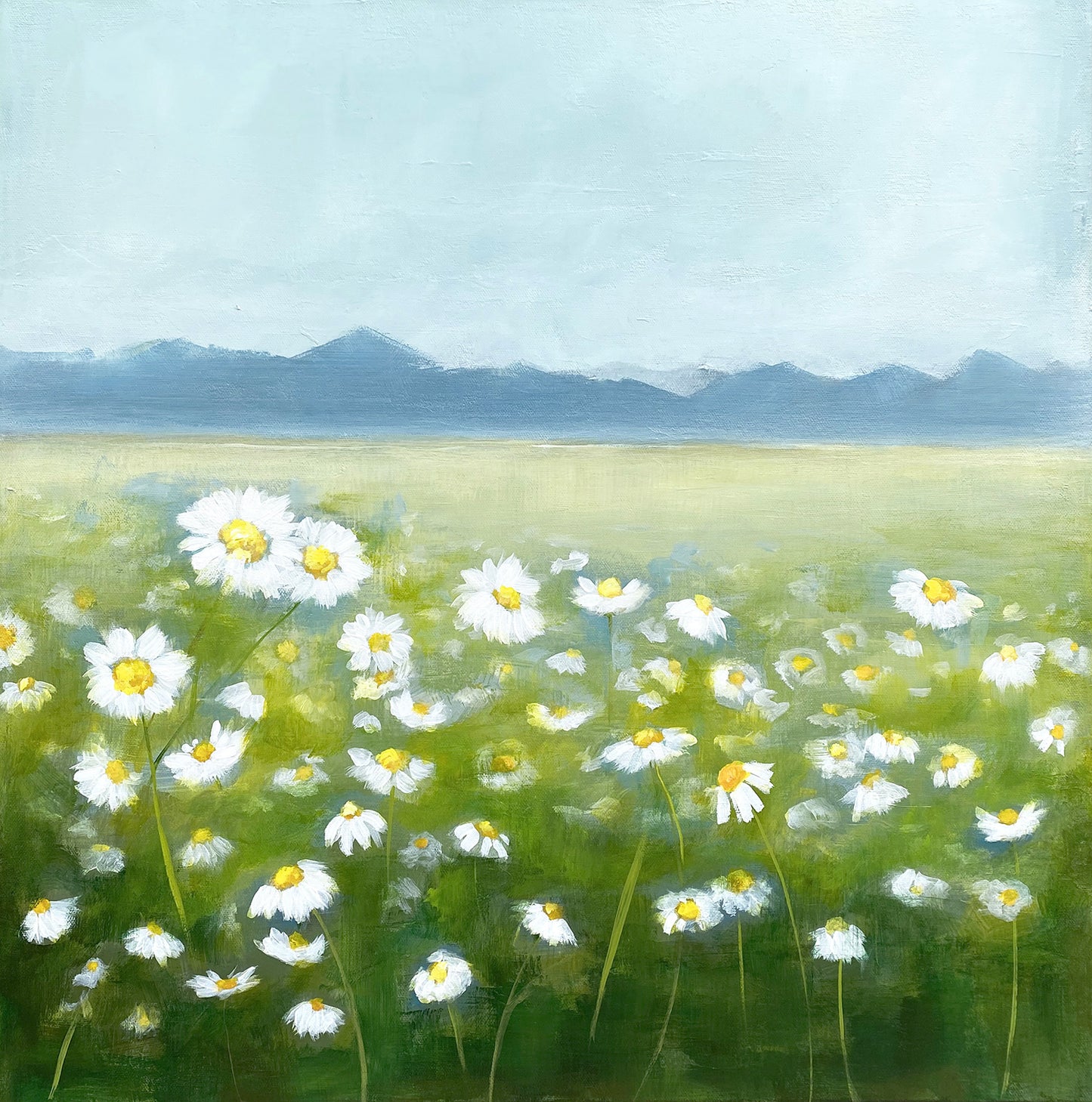 Delightful Daisies | 24 x 24”