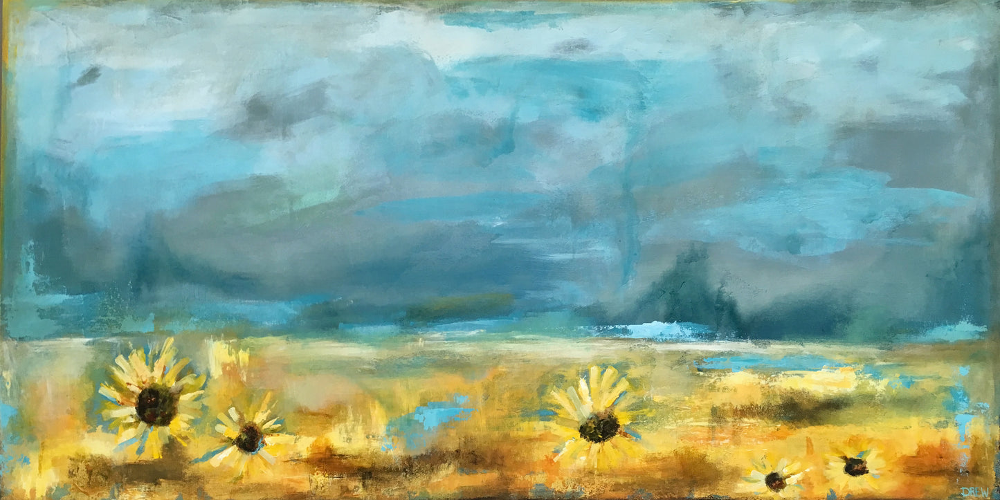 Sunflower Fields
